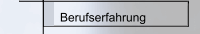 Berufserfahrung