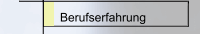 Berufserfahrung
